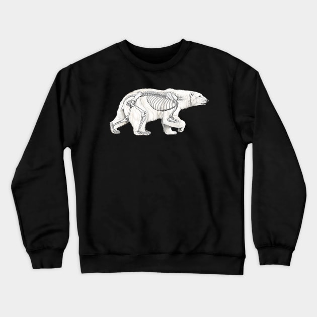 Polar Bear Skeleton Anatomy Crewneck Sweatshirt by Pip Tacla